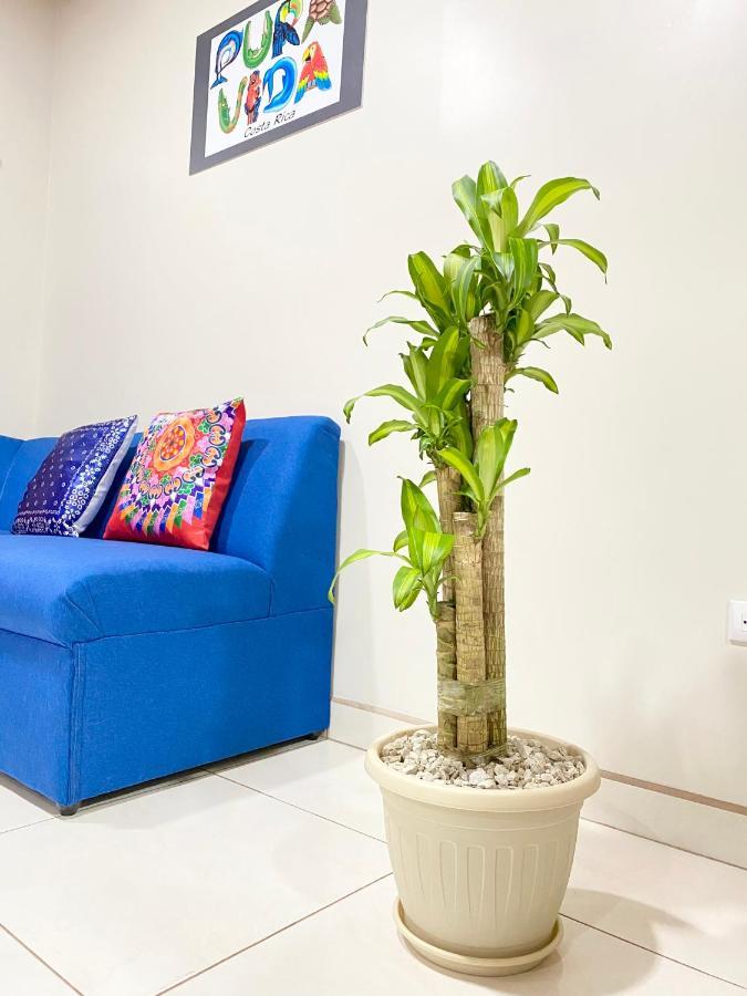 Pura Vida Apartment. 5 Min From Airport Alajuela Dış mekan fotoğraf